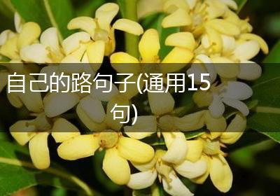 自己的路句子(通用15句)