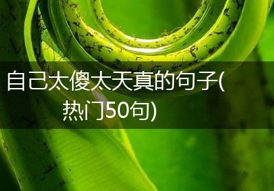自己太傻太天真的句子(热门50句)