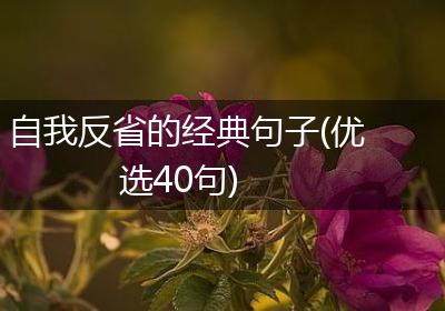 自我反省的经典句子(优选40句)