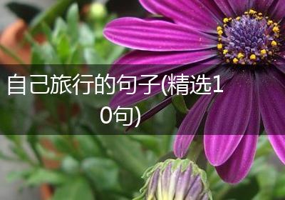 自己旅行的句子(精选10句)