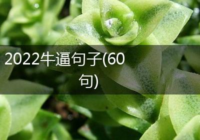 2022牛逼句子(60句)