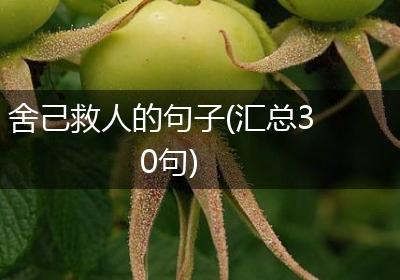 舍己救人的句子(汇总30句)