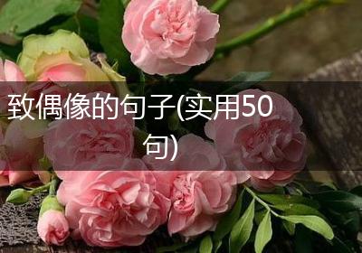 致偶像的句子(实用50句)