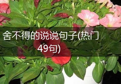 舍不得的说说句子(热门49句)