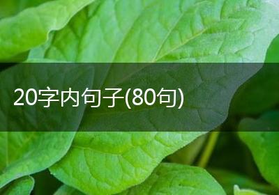 20字内句子(80句)