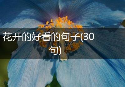 花开的好看的句子(30句)