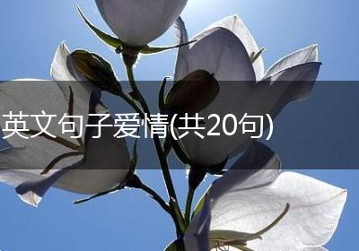 英文句子爱情(共20句)