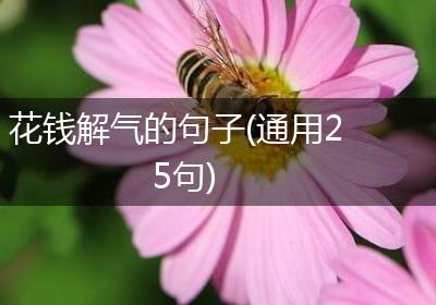 花钱解气的句子(通用25句)