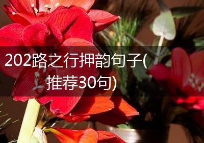 202路之行押韵句子(推荐30句)