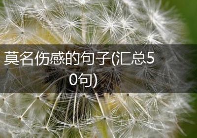 莫名伤感的句子(汇总50句)