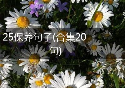 25保养句子(合集20句)