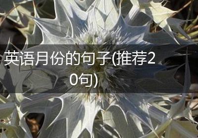 英语月份的句子(推荐20句)
