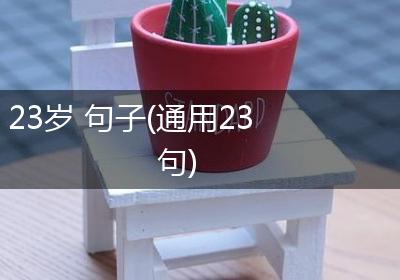 23岁 句子(通用23句)