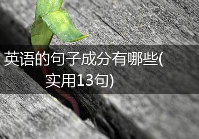 英语的句子成分有哪些(实用13句)