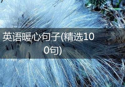 英语暖心句子(精选100句)