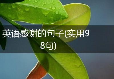 英语感谢的句子(实用98句)