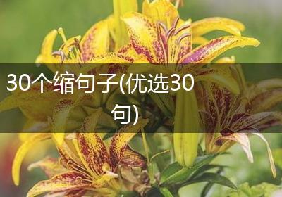 30个缩句子(优选30句)