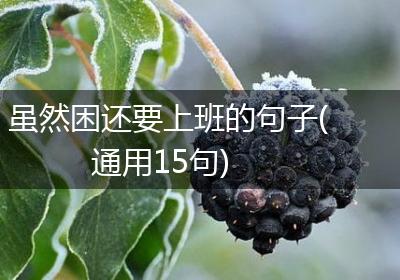 虽然困还要上班的句子(通用15句)