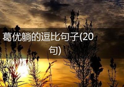 葛优躺的逗比句子(20句)