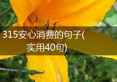 315安心消费的句子(实用40句)