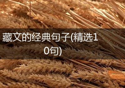 藏文的经典句子(精选10句)