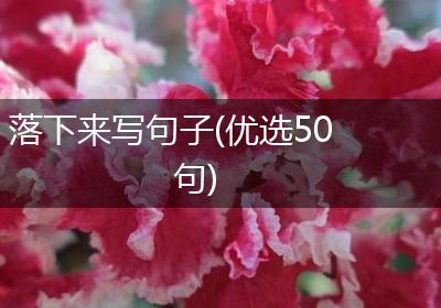 落下来写句子(优选50句)