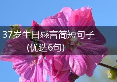 37岁生日感言简短句子(优选6句)