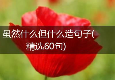 虽然什么但什么造句子(精选60句)