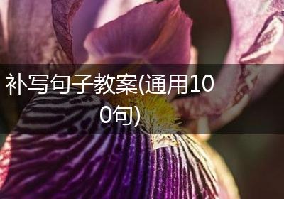 补写句子教案(通用100句)