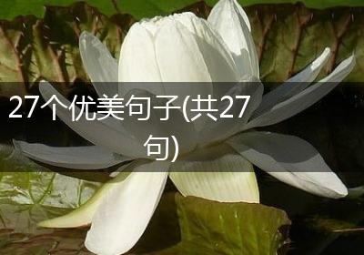 27个优美句子(共27句)