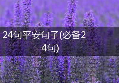 24句平安句子(必备24句)