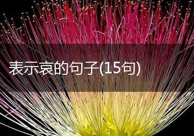 表示哀的句子(15句)
