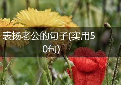 表扬老公的句子(实用50句)