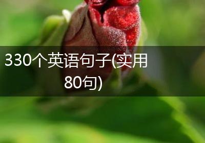 330个英语句子(实用80句)