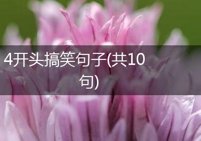 4开头搞笑句子(共10句)