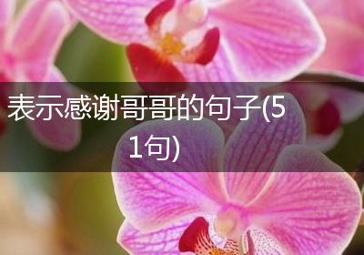 表示感谢哥哥的句子(51句)
