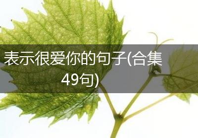 表示很爱你的句子(合集49句)