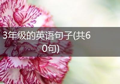 3年级的英语句子(共60句)