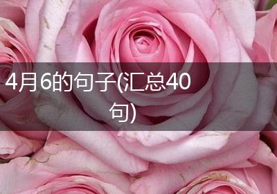 4月6的句子(汇总40句)