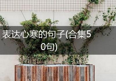 表达心寒的句子(合集50句)
