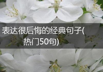 表达很后悔的经典句子(热门50句)