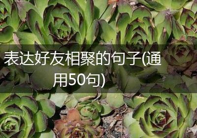 表达好友相聚的句子(通用50句)