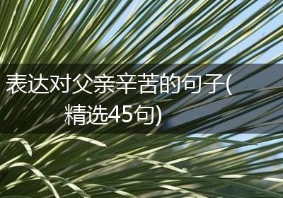 表达对父亲辛苦的句子(精选45句)