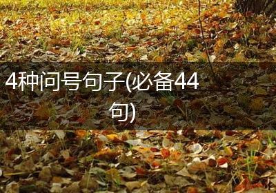4种问号句子(必备44句)