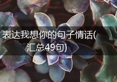 表达我想你的句子情话(汇总49句)