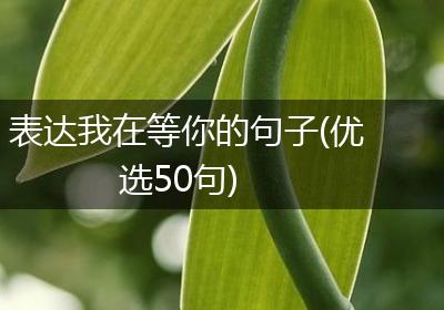 表达我在等你的句子(优选50句)