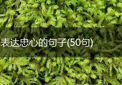 表达忠心的句子(50句)