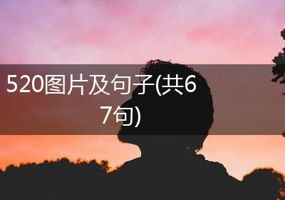 520图片及句子(共67句)