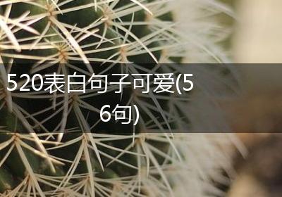 520表白句子可爱(56句)
