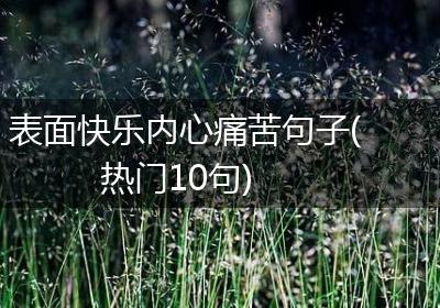 表面快乐内心痛苦句子(热门10句)